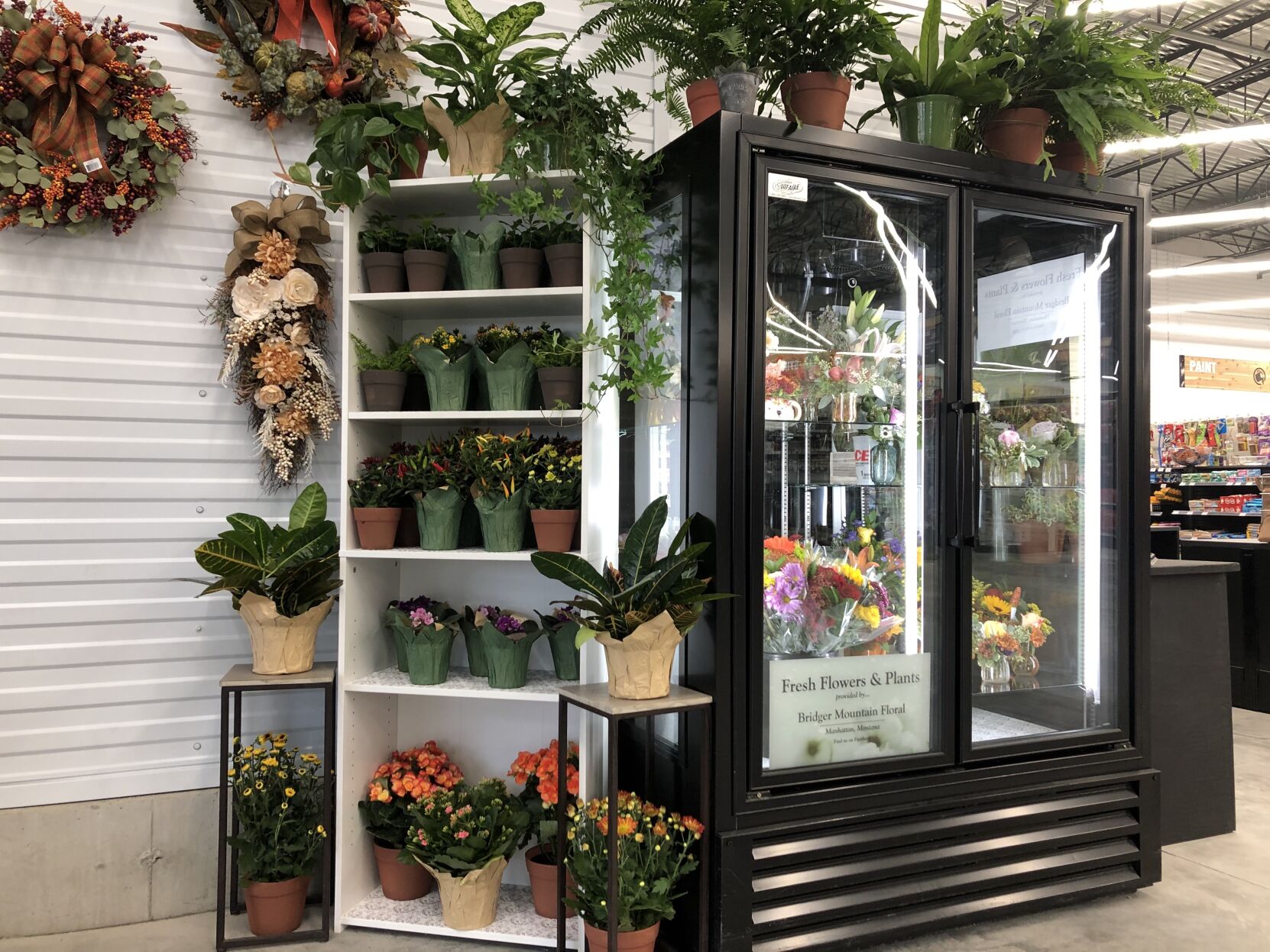 Ace Flowers